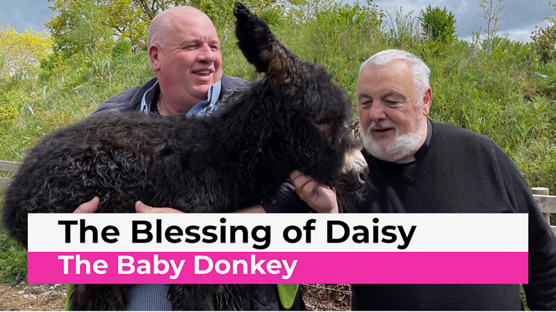 The Blessing of Daisy, the Baby Donkey.