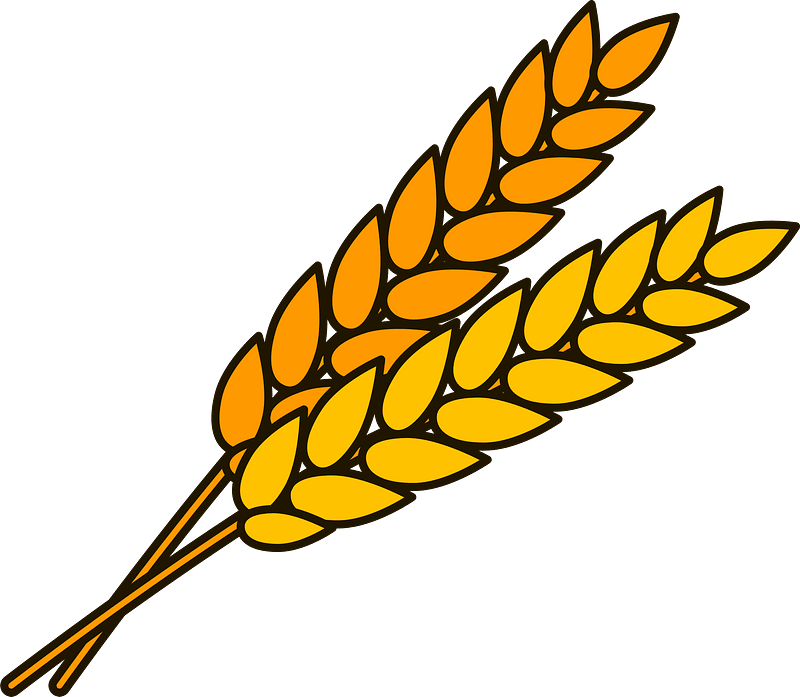 Harvest Festival Sunday 5th October.